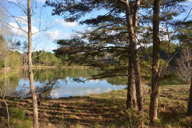 TBD Private Road 1106 - Photo 1