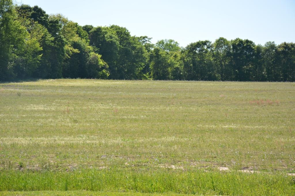 TBD Highway 167 - Photo 1
