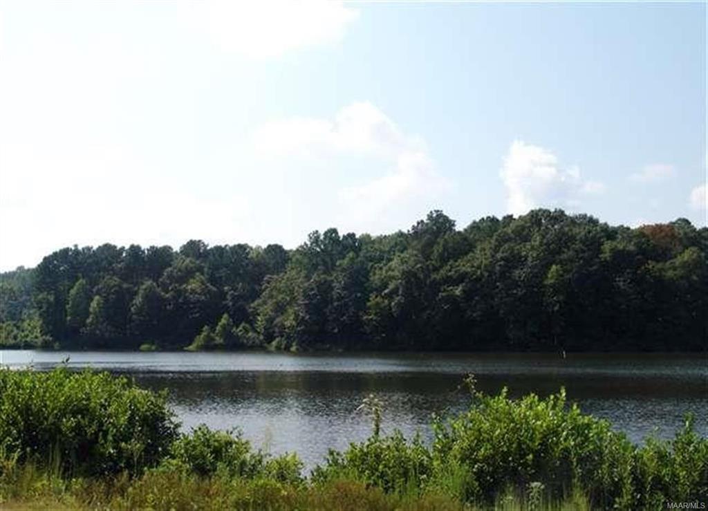 102 104 High Bluff Drive - Photo 1