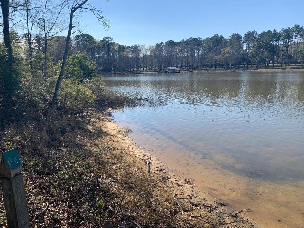0 Lakeview Drive - Photo 1