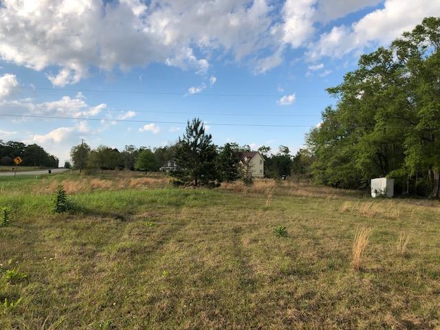0 Cottonwood Road - Photo 1
