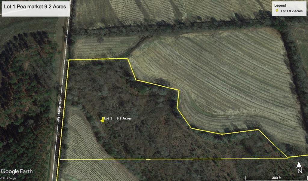 9.2 Acre Pea Market Rd Lot 1 - Photo 1
