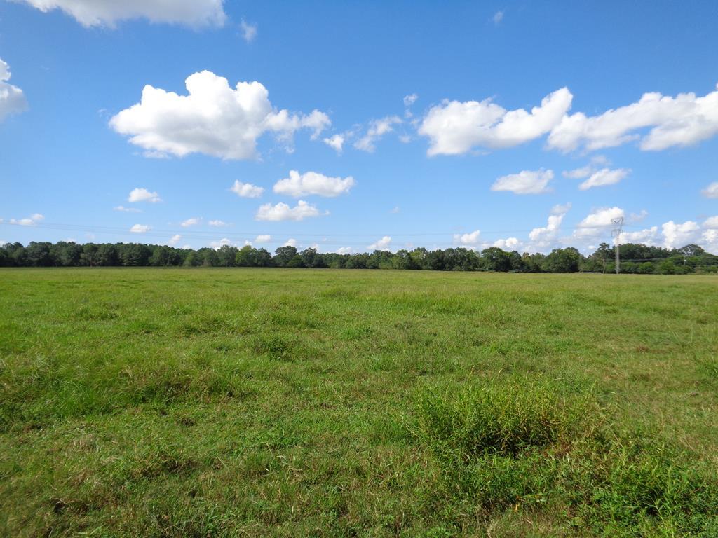 23+/- ac Hodgesville Rd - Photo 1