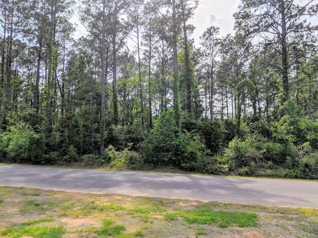 0 Greenview Circle - Photo 1