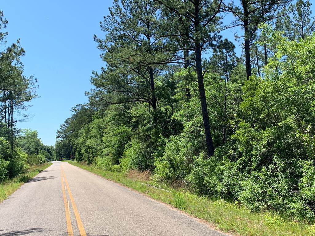 2.33 Acres Mcdougald Street - Photo 1