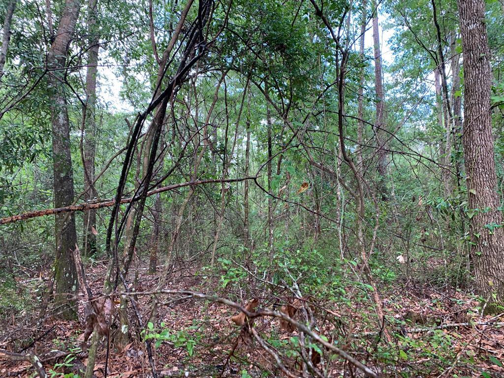 2.32 Acres Mcdougald Street - Photo 1