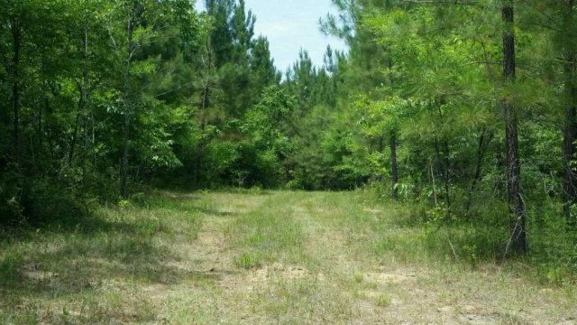 0 County Rd. 18 - Photo 1
