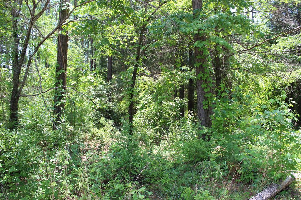 Lot 64 Arrowhead - Photo 1