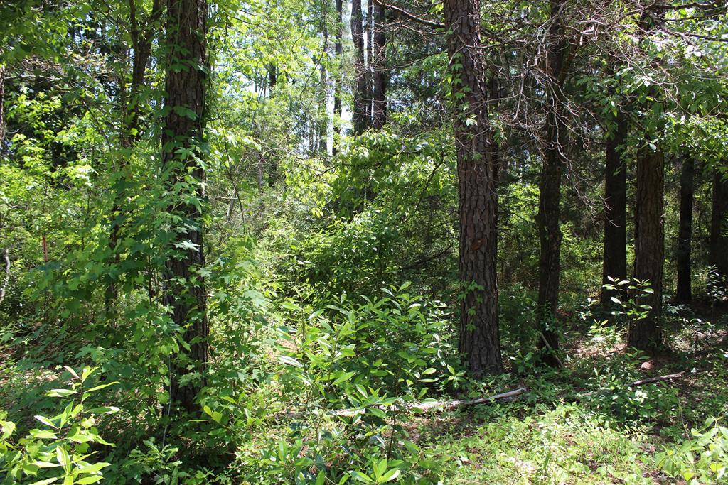 Lot 37 Arrowhead - Photo 1