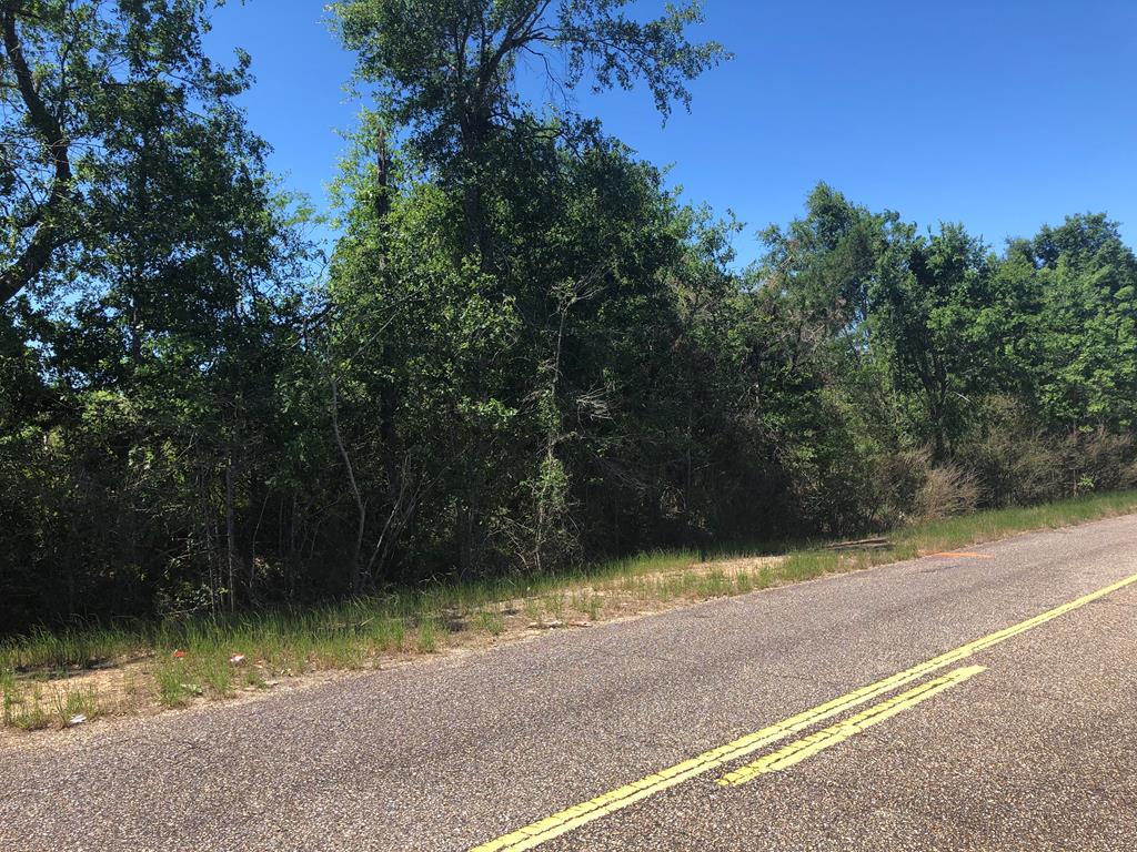 00 Pansey Road - Photo 1