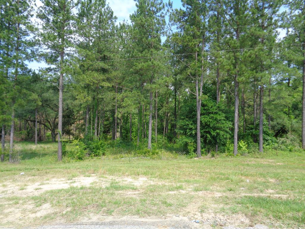 17.9+-ac Cottonwood Rd/State Line Rd - Photo 1 17.9+-ac Cottonwood Rd/State Line Rd - Photo 1