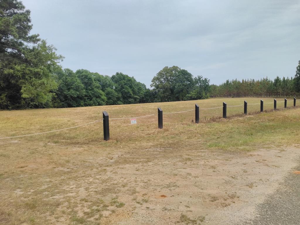 00 County Road 181 - Photo 1