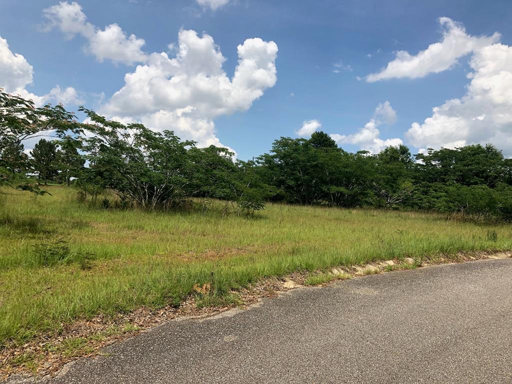 Lot 26 Ridge Drive - Photo 1