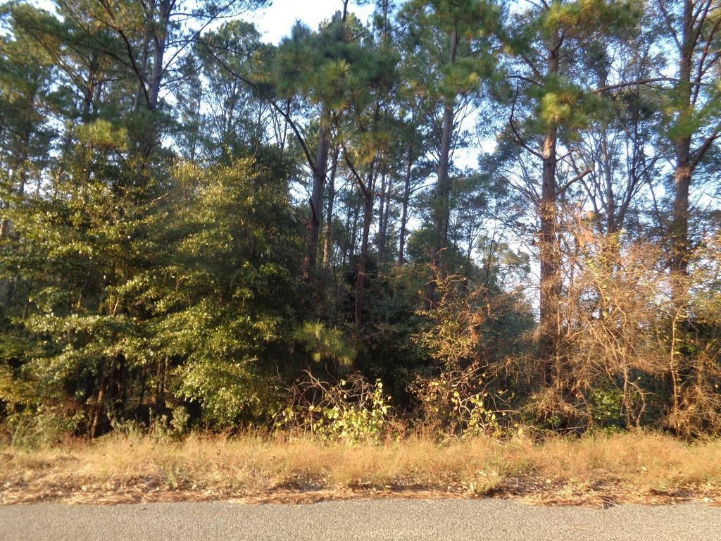 0 County Rd 6 - Photo 1