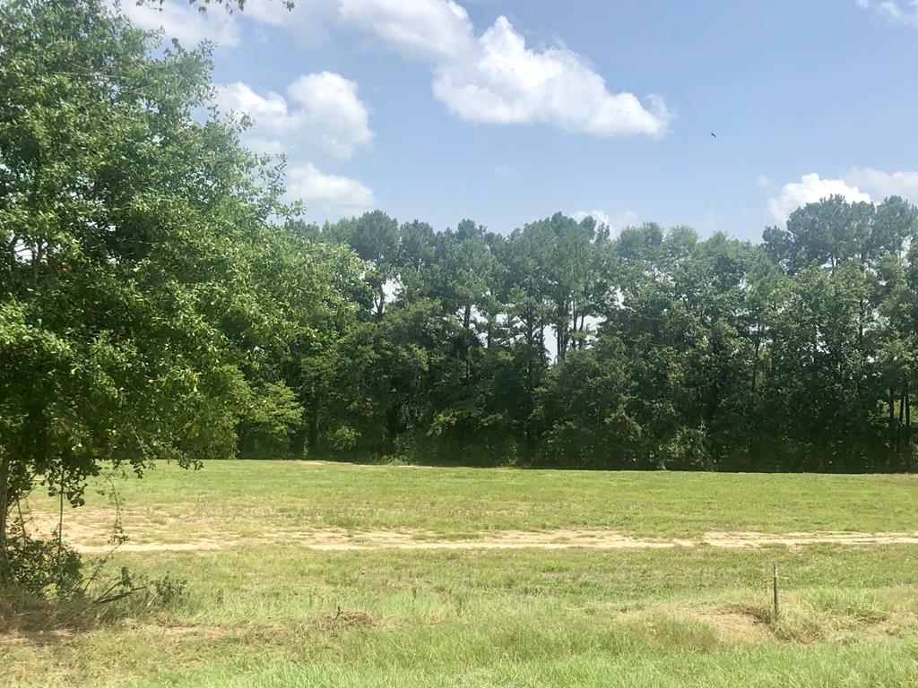 Lot 1 Mccord Road - Photo 1