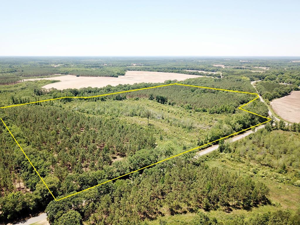 56 ACRES County Road 4 - Photo 1
