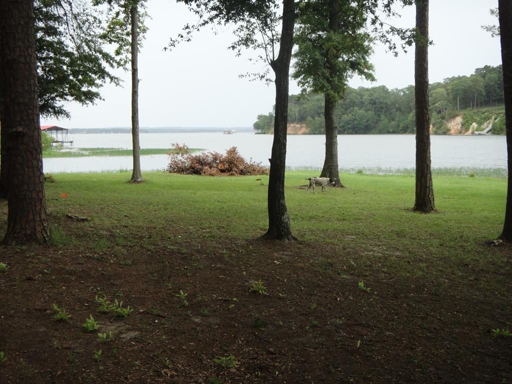 0 Lake Front Drive - Photo 1