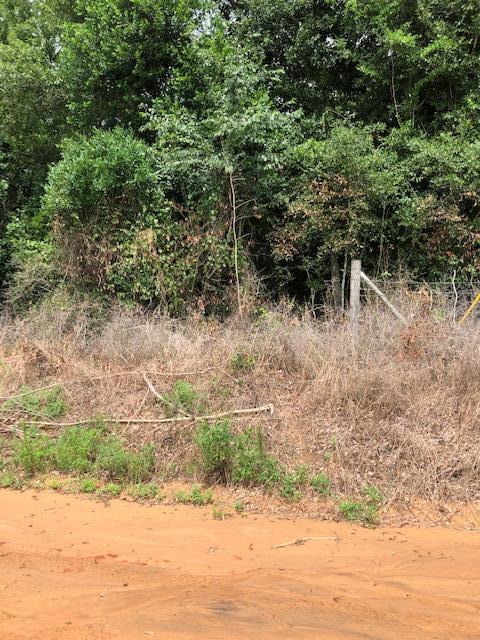 0 Chamblee Road - Photo 1