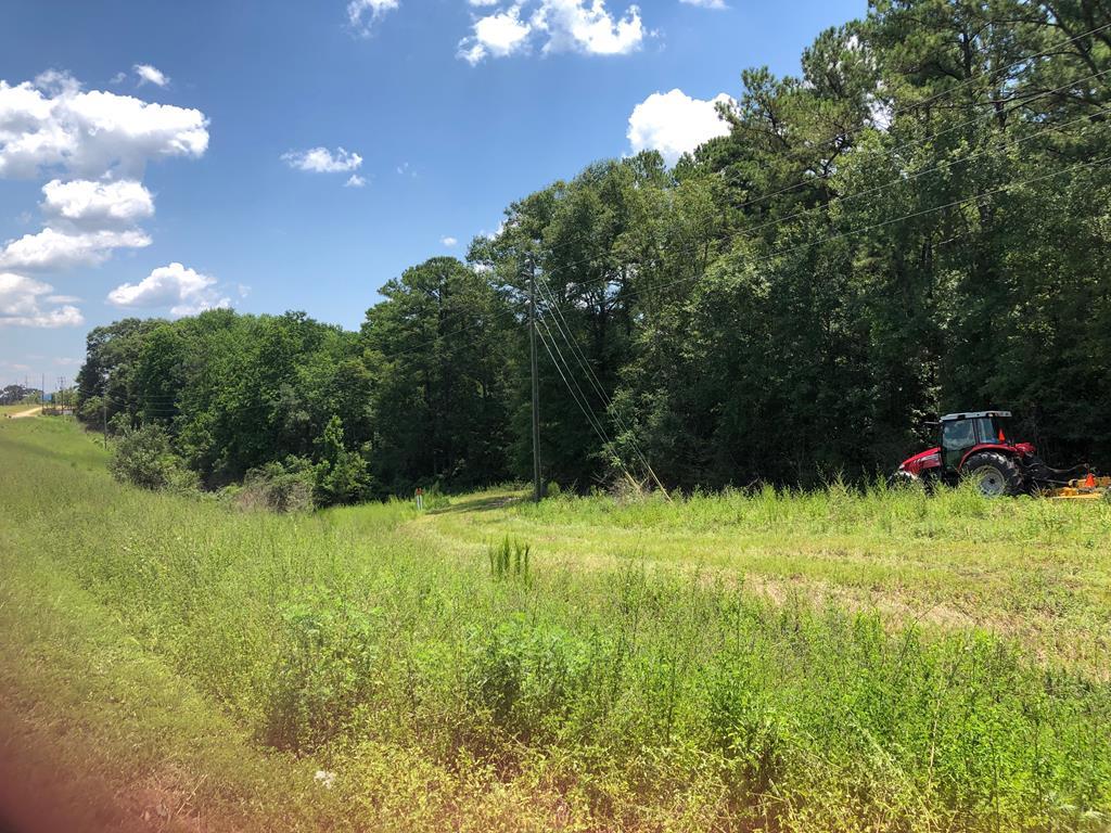0 Boll Weevil Circle - Photo 1