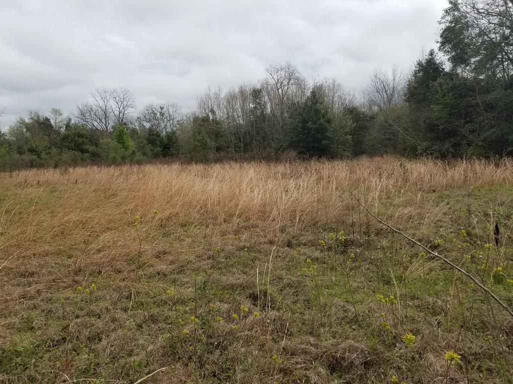 501 Watson Street - Photo 1