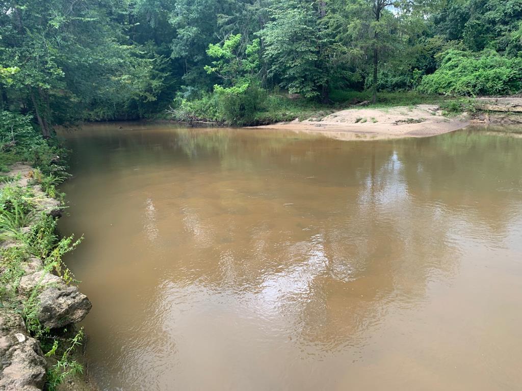 5570 County Road 71 - Photo 1