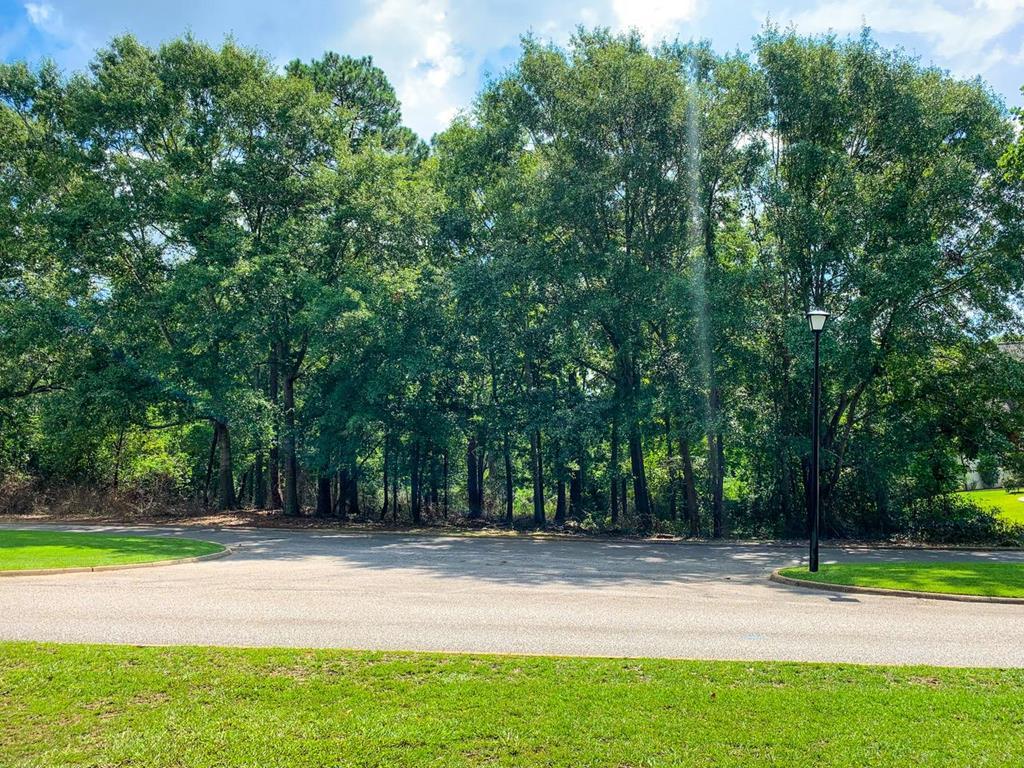 44 Hampton Way - Photo 1
