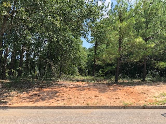 0 Meadowview Drive - Photo 1