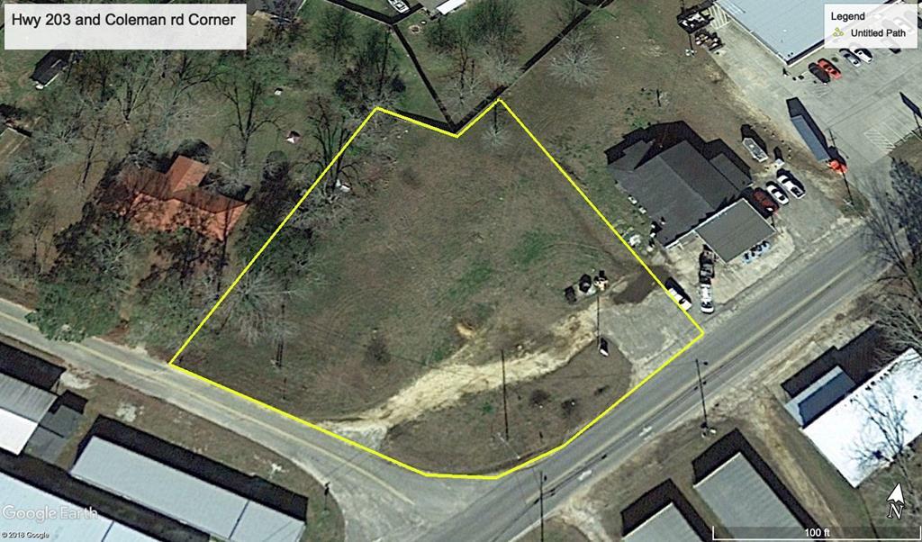 Corner Hwy 203 And Coleman Rd - Photo 1