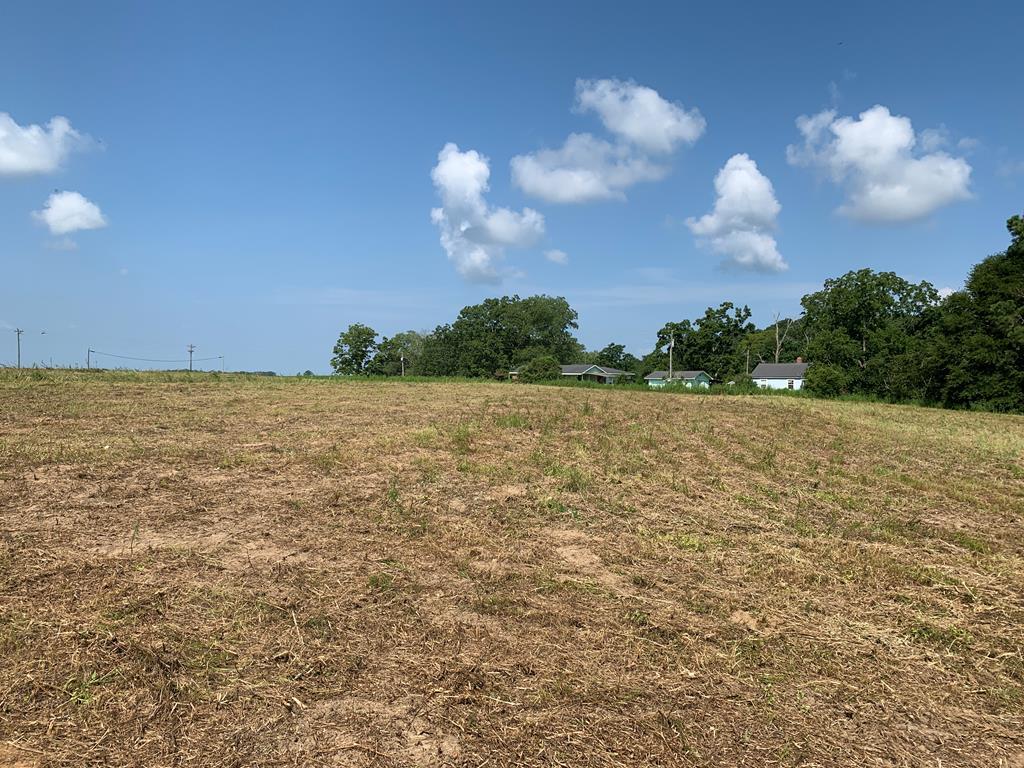 1.5 Acres County Rd 55 - Photo 1