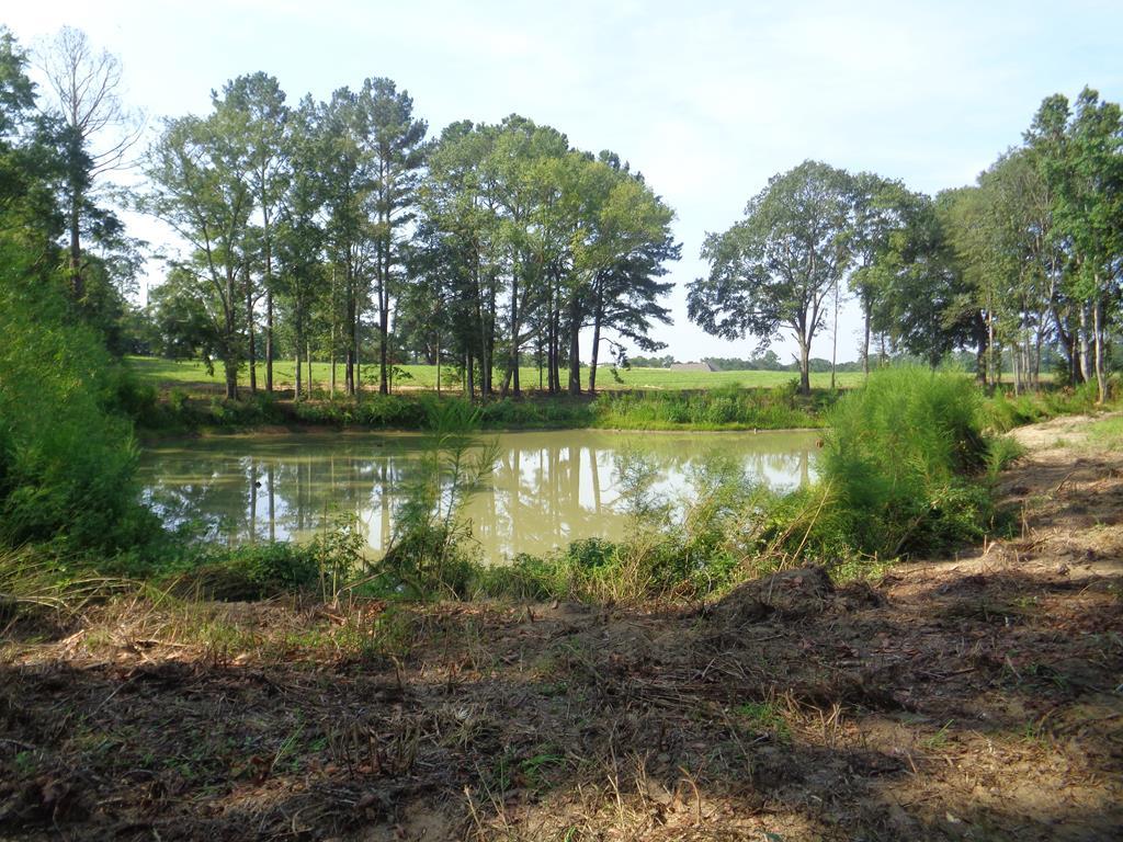 9.1 +-ac Lot 16, Middleton Rd - Photo 1