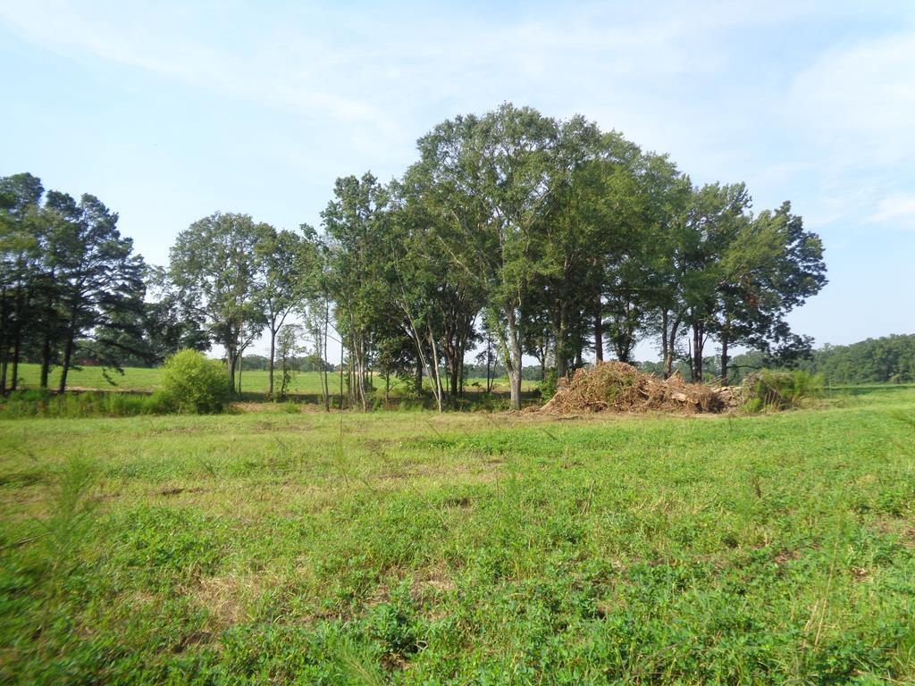 5.18+-ac Lot 19, Middleton Rd - Photo 1