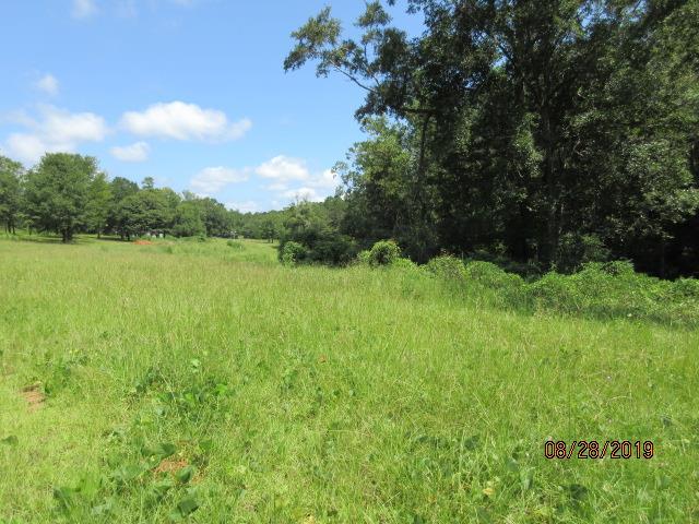 5557 Fortner Street - Photo 1