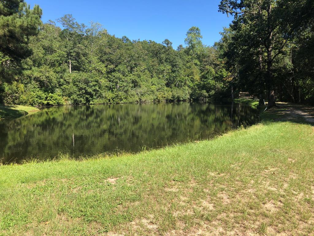 00 Jackson Loop Porter Andrews Rd. - Photo 1