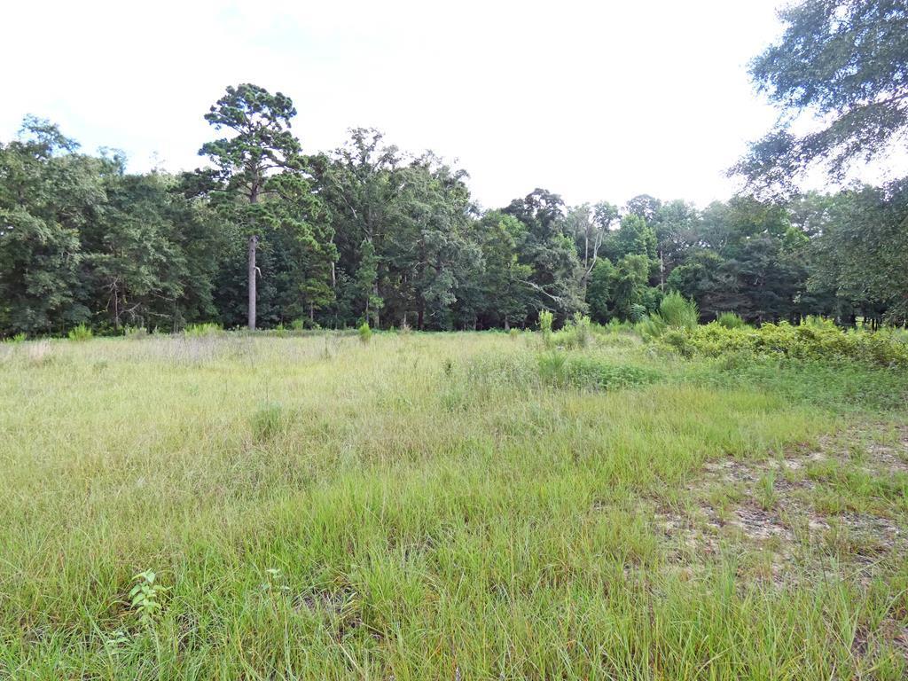 00 Woods Road - Photo 1