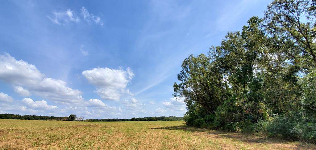 20.4 AC Ame Rd Lot 11 - Photo 1