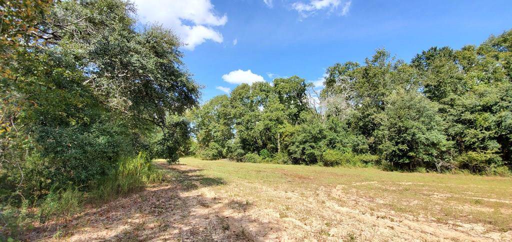 25 Acres Singletary Rd Lot 15 - Photo 1