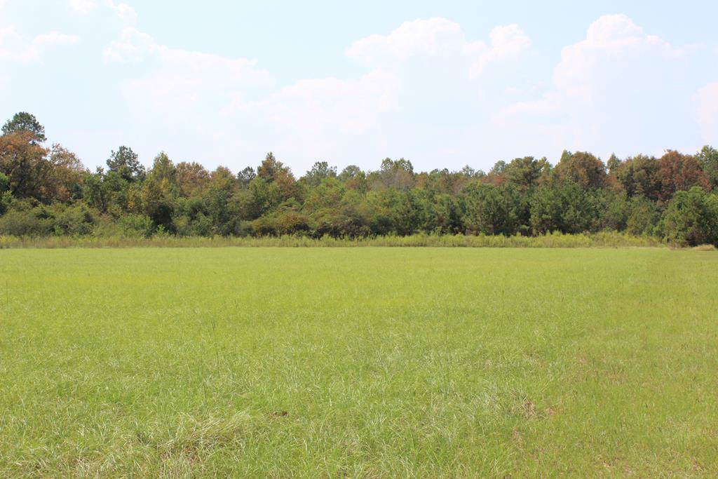 00 Willie Varnum Rd - Photo 1