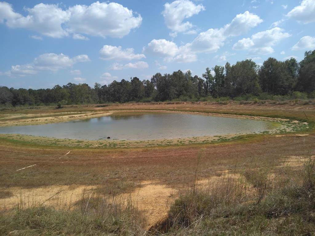 0 Patterson Road - Photo 1