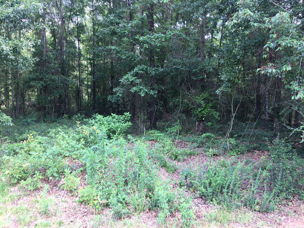 Lot 5 Olympia Drive - Photo 1