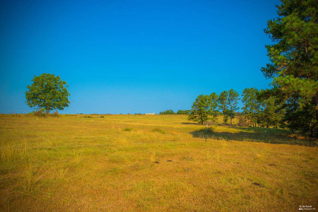 3625 County Road 55 - Photo 1