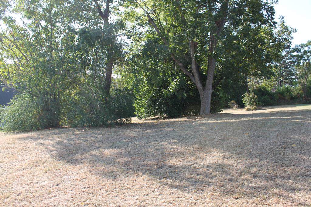 1906 Fern Dr - Photo 1