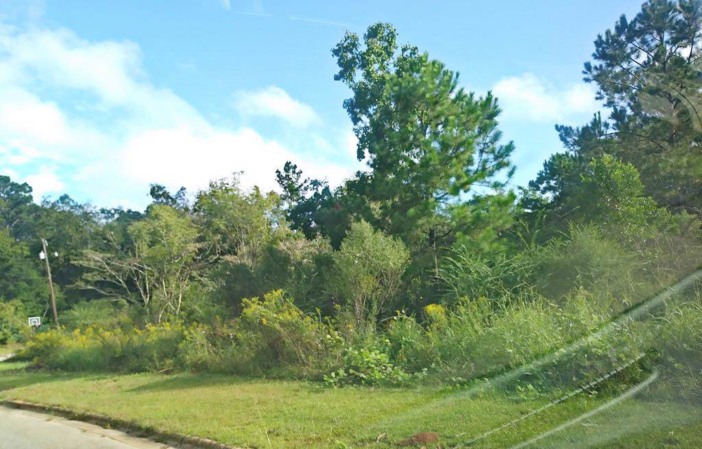 0 Serenity Ct. - Photo 1