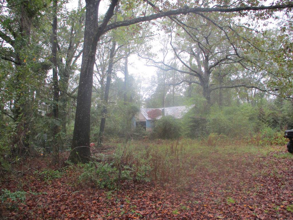 1650 Glen Lawrence - Photo 1