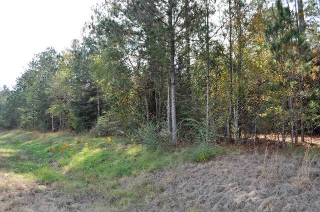 0 Highway 55 - Photo 1
