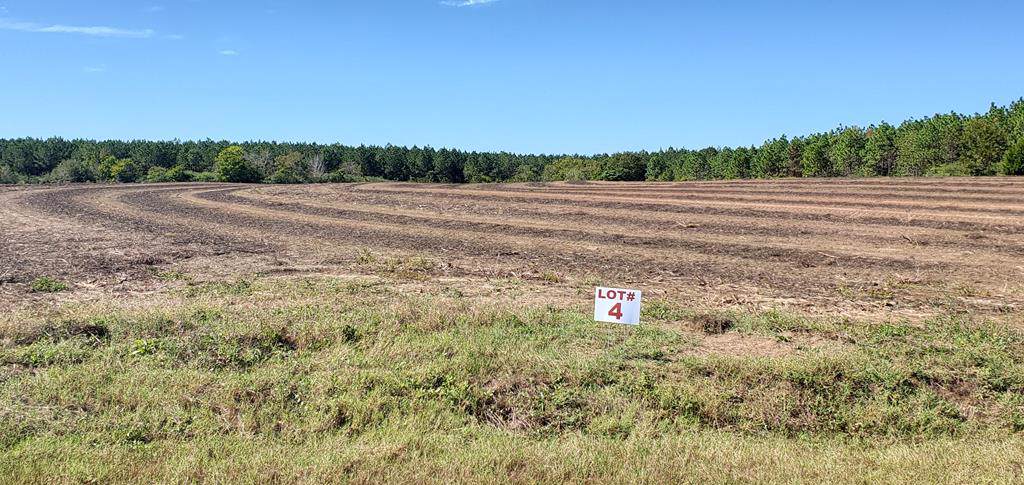 6 Acres Dawsey Rd Lot 4 (Rehobeth School District) - Photo 1