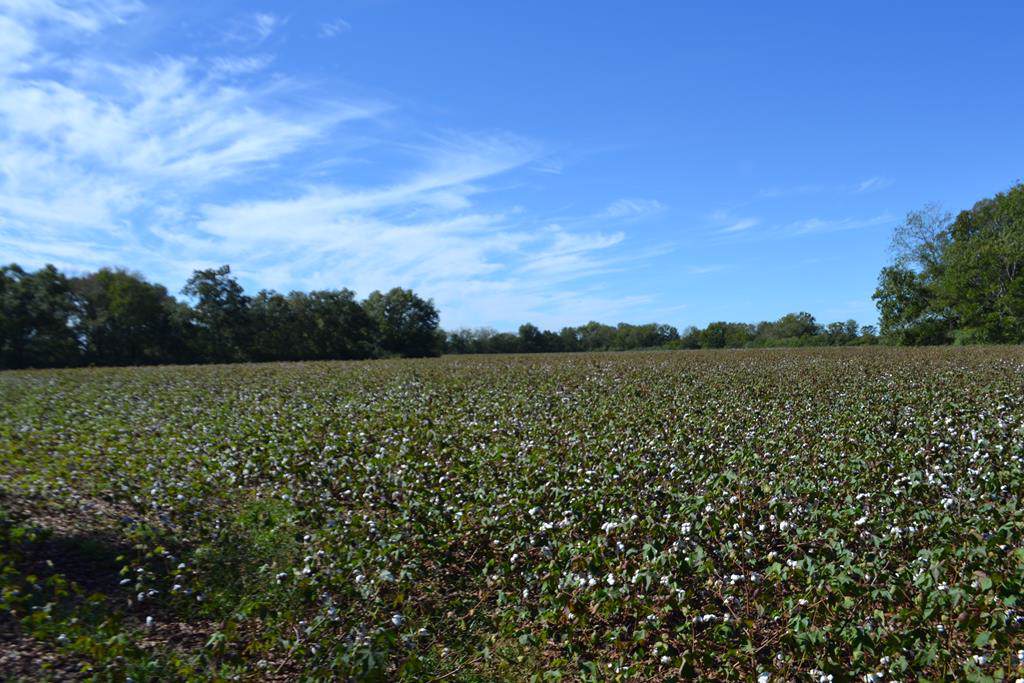 0 Bill Yance Road - Photo 1