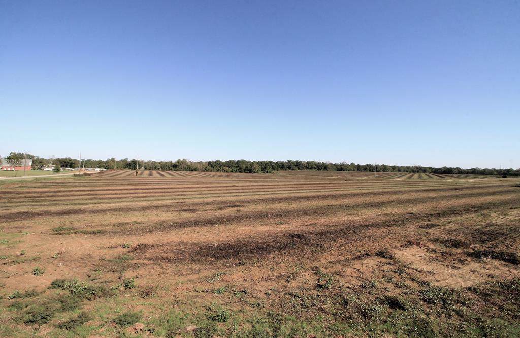 TBD S. Shady Lane - Photo 1