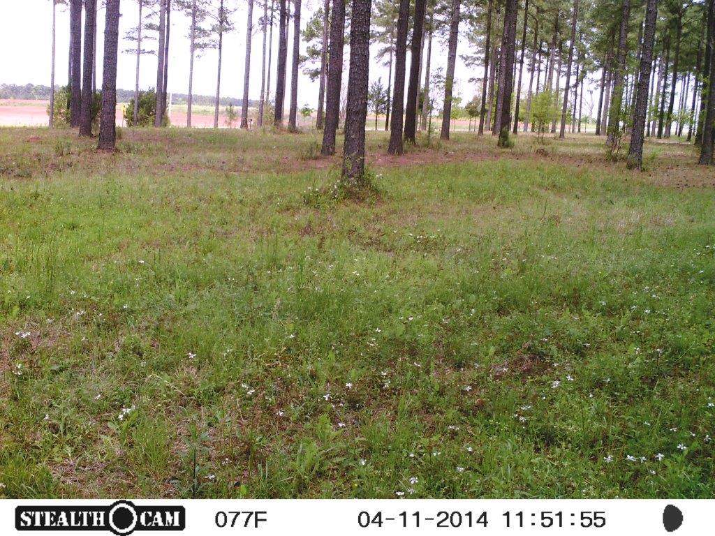 00 .Co.Rd 187 - Photo 1