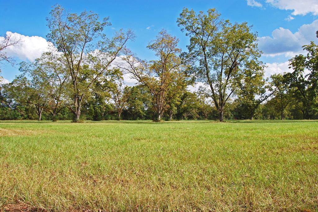 100x200 Harrell Street - Photo 1 100x200 Harrell Street - Photo 1