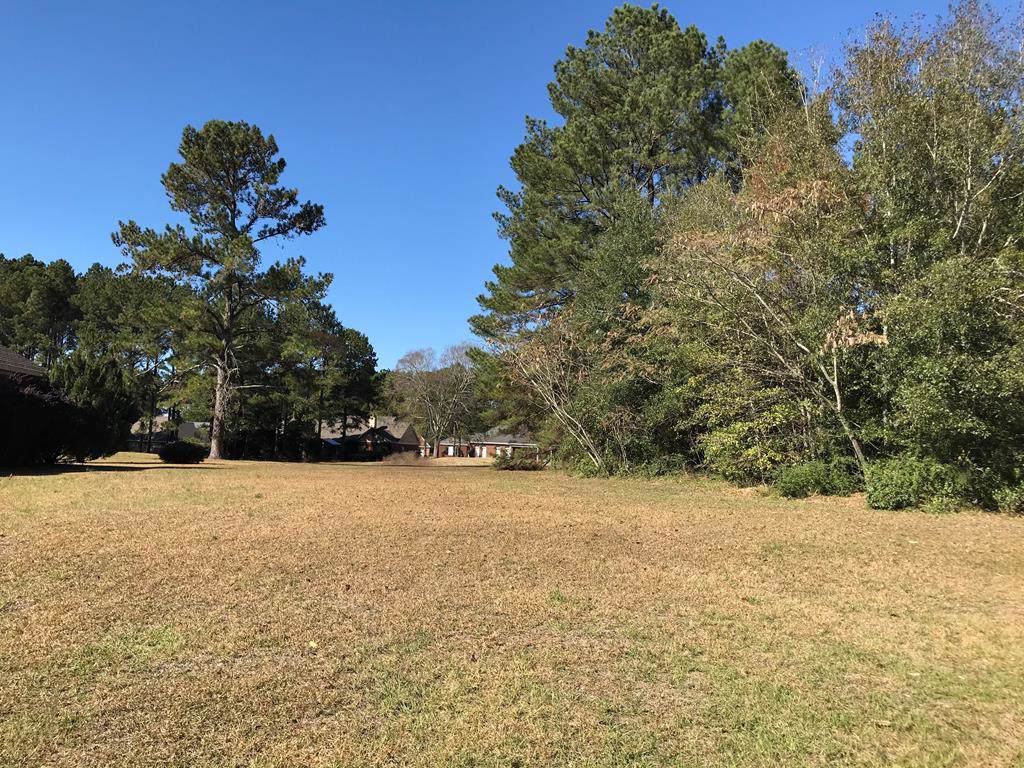 Lot 41 Rosemount Court - Photo 1
